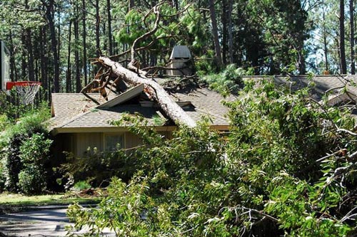 Residential Construction | Hurricane Repairs on Hilton Head.